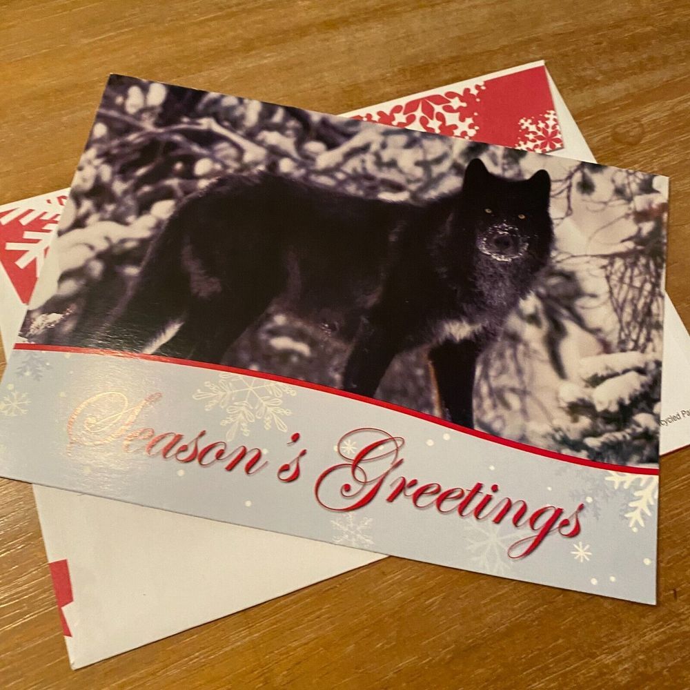 Defenders of Wildlife Black Wolf Winter Season Greeting‎ Merry Christmas Card